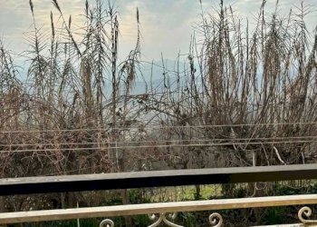 Terrazzo - Rustico via Gavelli, Castelnuovo Calcea - foto 31