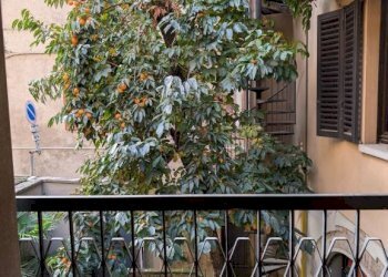 Balcone - Office via Francesco Adobati, Alzano Lombardo - photo 30