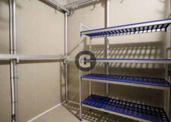 Altro - Shop via Renato Martorelli, 96, Torino (neighborhood Rebaudengo) - photo 22