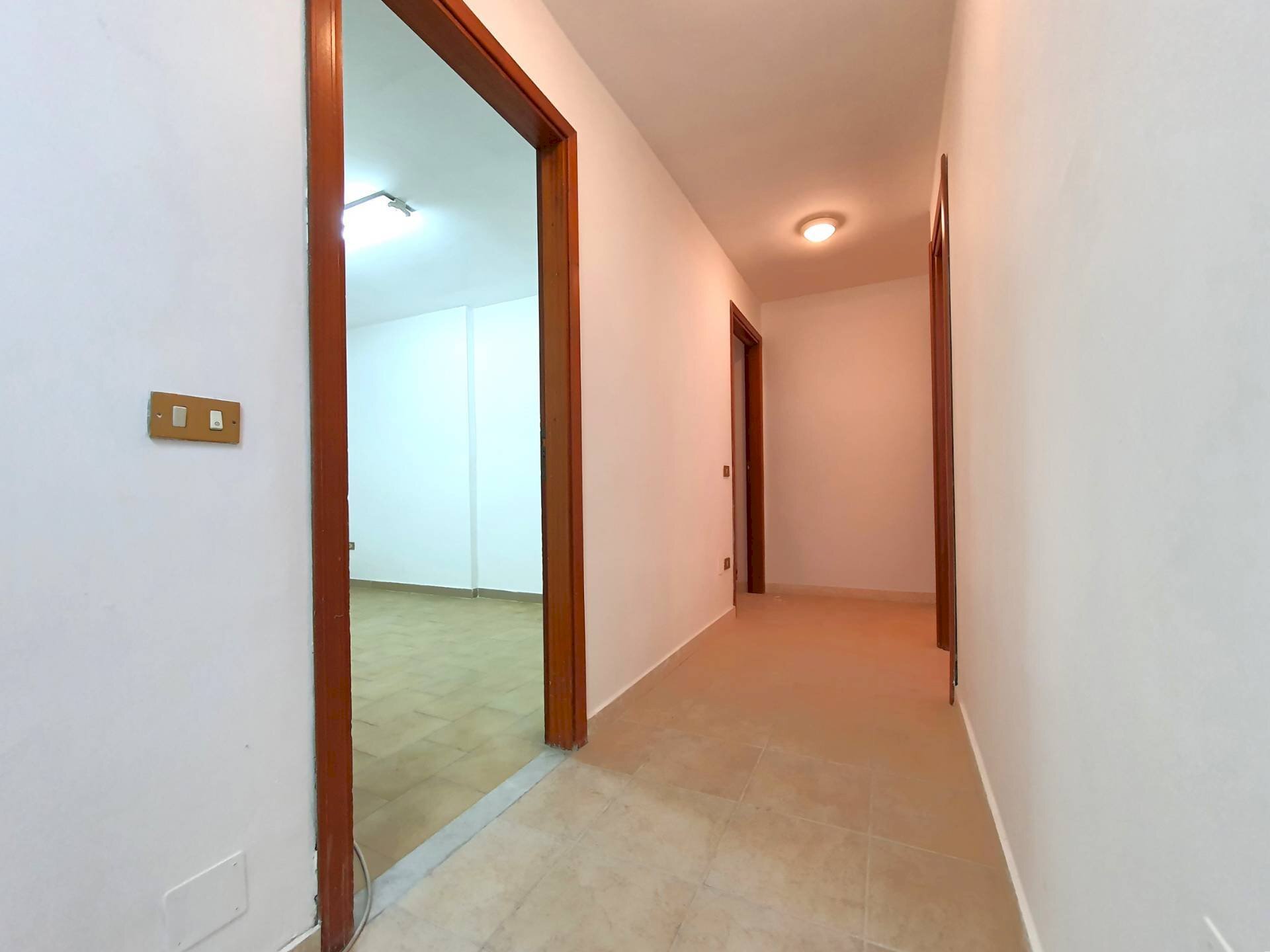 Foto 3 - Warehouse via Francesco Paglia, Catanzaro - photo 3