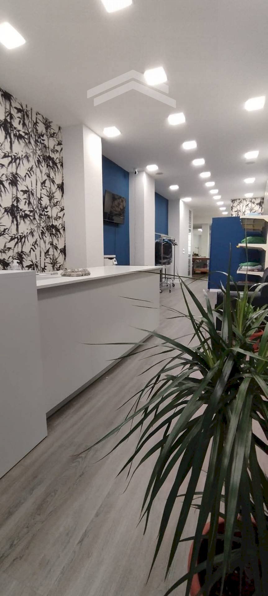 Foto 3 - Locale Commerciale Via Veneto, Campobasso - foto 3