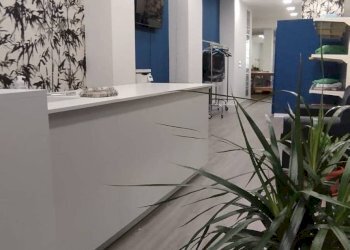 Foto 3 - Locale Commerciale Via Veneto, Campobasso - foto 3