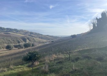 Foto 5 - Casa indipendente Contrada Fonte Vecchia, Monteprandone - foto 5