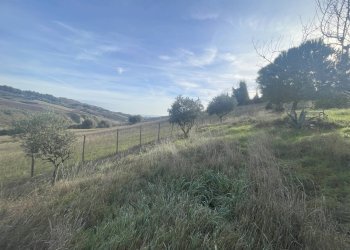 Foto 24 - Casa indipendente Contrada Fonte Vecchia, Monteprandone - foto 22