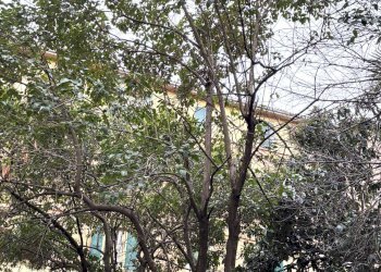 viste - Appartamento via Olindo Guerrini, Bologna (zona Costa Saragozza) - foto 24