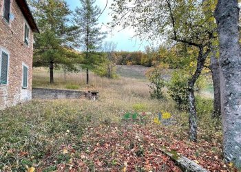 giardino casa principale - Rustico pessola casa gasparone 81, Varsi - foto 14