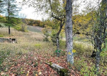 giardino casa principale - Rustico pessola casa gasparone 81, Varsi - foto 15