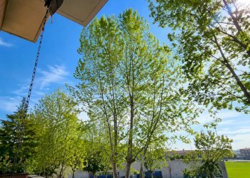 ChatGPT Image 12 giu 2026, 10_18_45 - Apartment Viale Giuseppe Verdi snc, Jesi - photo 11