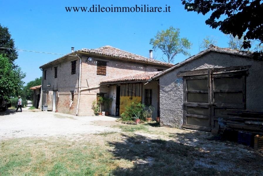 012 DI LEO IMMOBILIARE VENDE AZIENDA AGRICOLA BIOL - Casale Pesaro - photo 2