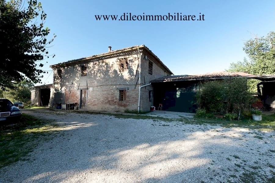 014 DI LEO IMMOBILIARE VENDE AZIENDA AGRICOLA BIOL - Casale Pesaro - photo 3