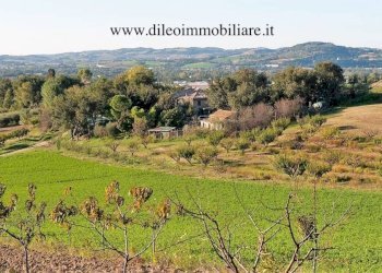 01 DI LEO IMMOBILIARE VENDE AZIENDA AGRICOLA BIOL - Casale Pesaro - foto 8