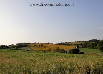 04 DI LEO IMMOBILIARE VENDE AZIENDA AGRICOLA BIOL - Casale Pesaro - foto 10