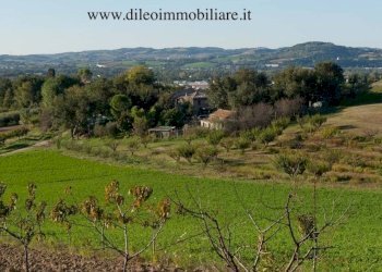 016 DI LEO IMMOBILIARE VENDE AZIENDA AGRICOLA BIOL - Casale Pesaro - foto 17