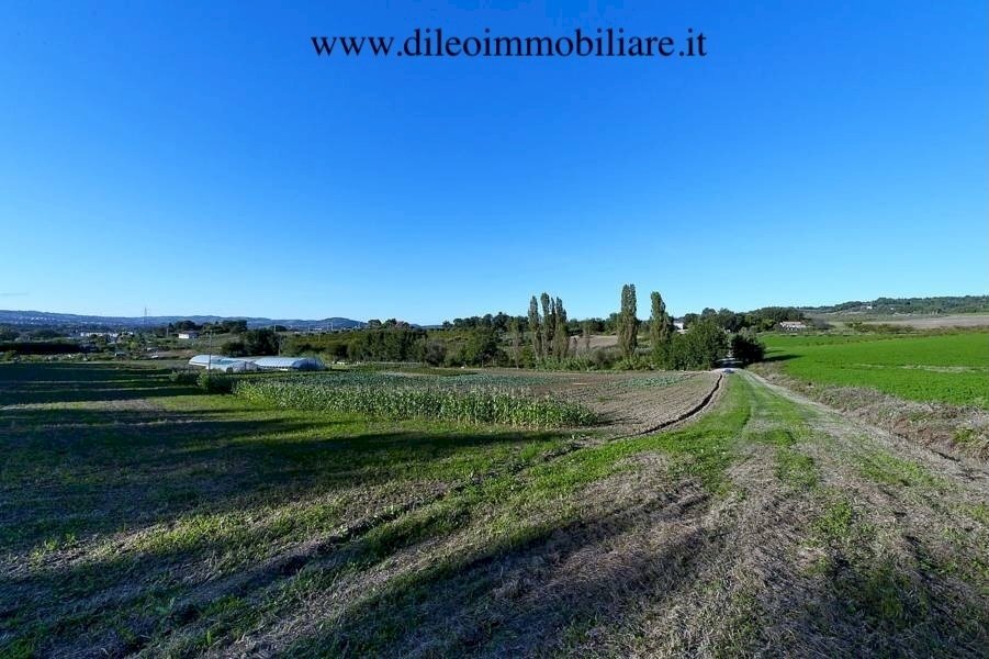 03 DI LEO IMMOBILIARE VENDE AZIENDA AGRICOLA BIOLO - Azienda agricola Pesaro - foto 1