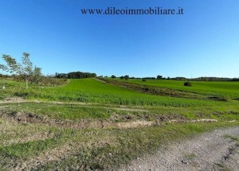 02 DI LEO IMMOBILIARE VENDE AZIENDA AGRICOLA BIOLO - Azienda agricola Pesaro - foto 5