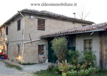 011 DI LEO IMMOBILIARE VENDE AZIENDA AGRICOLA BIOL - Azienda agricola Pesaro - foto 13