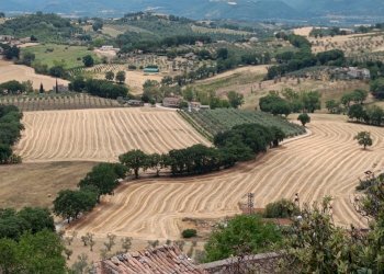 IMG20220712134257.jpg - Four-room apartment via delle scuole 6, Lugnano in Teverina - photo 22