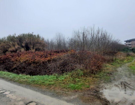 2.jpg - Building land at auction Regione Fontane snc, Strevi - photo 1