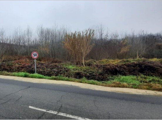 3.jpg - Building land at auction Regione Fontane snc, Strevi - photo 2