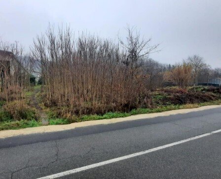 4.jpg - Building land at auction Regione Fontane snc, Strevi - photo 3