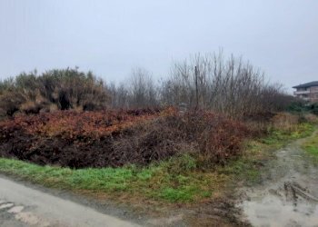 2.jpg - Terreno edificabile all'asta Regione Fontane snc, Strevi - foto 1