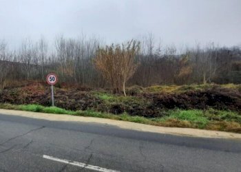 3.jpg - Terreno edificabile all'asta Regione Fontane snc, Strevi - foto 2