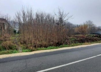 4.jpg - Terreno edificabile all'asta Regione Fontane snc, Strevi - foto 3