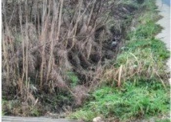 5.jpg - Terreno edificabile all'asta Regione Fontane snc, Strevi - foto 4