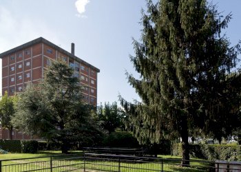 _MG_6446 copia.jpg - Quadrilocale Corso Martin Luther King 15, Grugliasco - foto 14