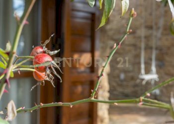 Esterni  (11).jpg - Villa Località Campo Rotondo snc, Capranica - foto 28