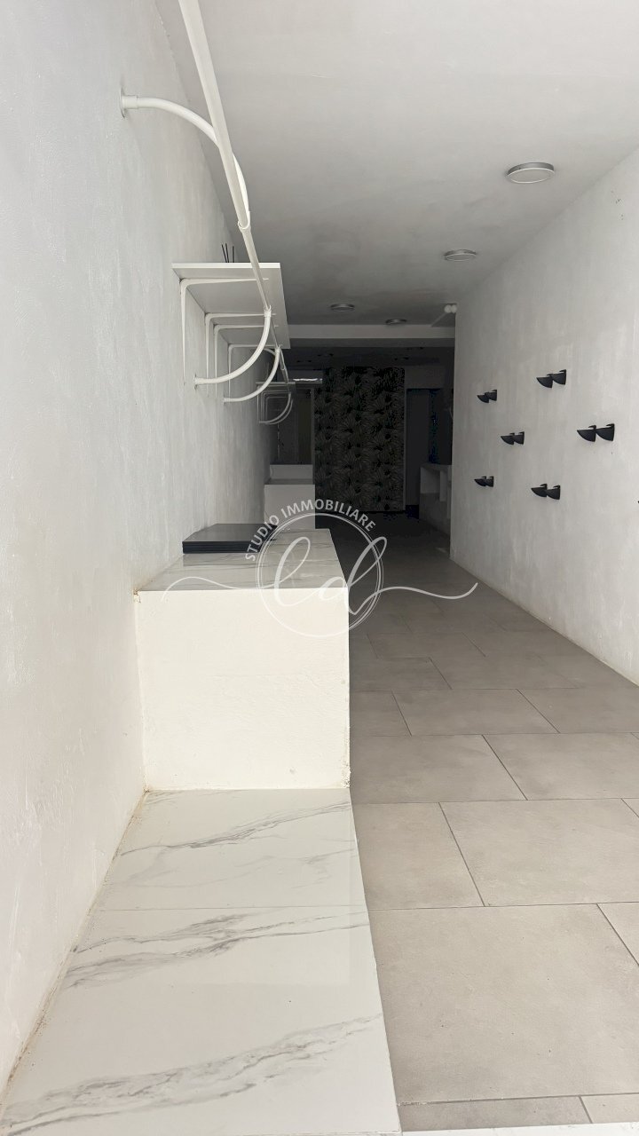 IMG_3226.JPG - Capannone Pietrasanta - foto 1