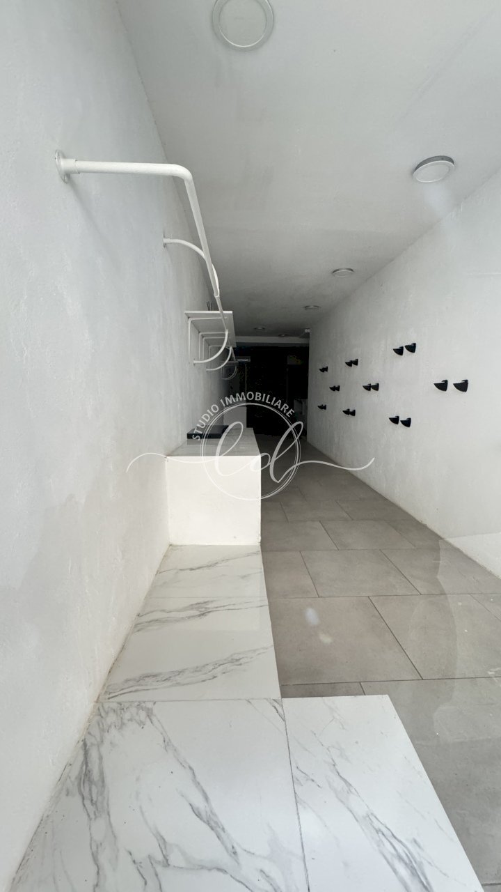 IMG_3227.JPG - Capannone Pietrasanta - foto 2