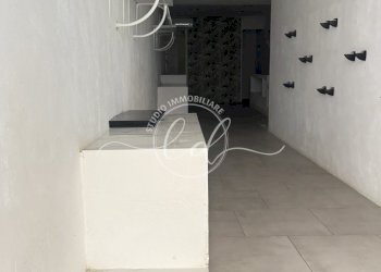 IMG_3226.JPG - Capannone Pietrasanta - foto 1