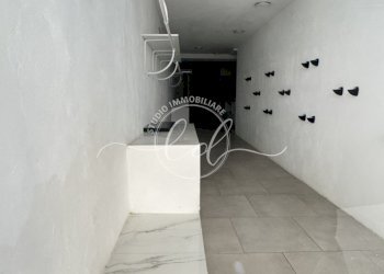 IMG_3227.JPG - Capannone Pietrasanta - foto 2