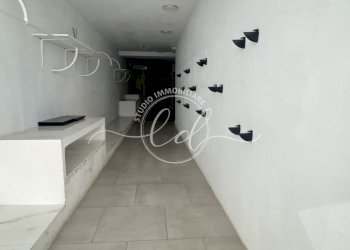 IMG_3229.JPG - Capannone Pietrasanta - foto 4