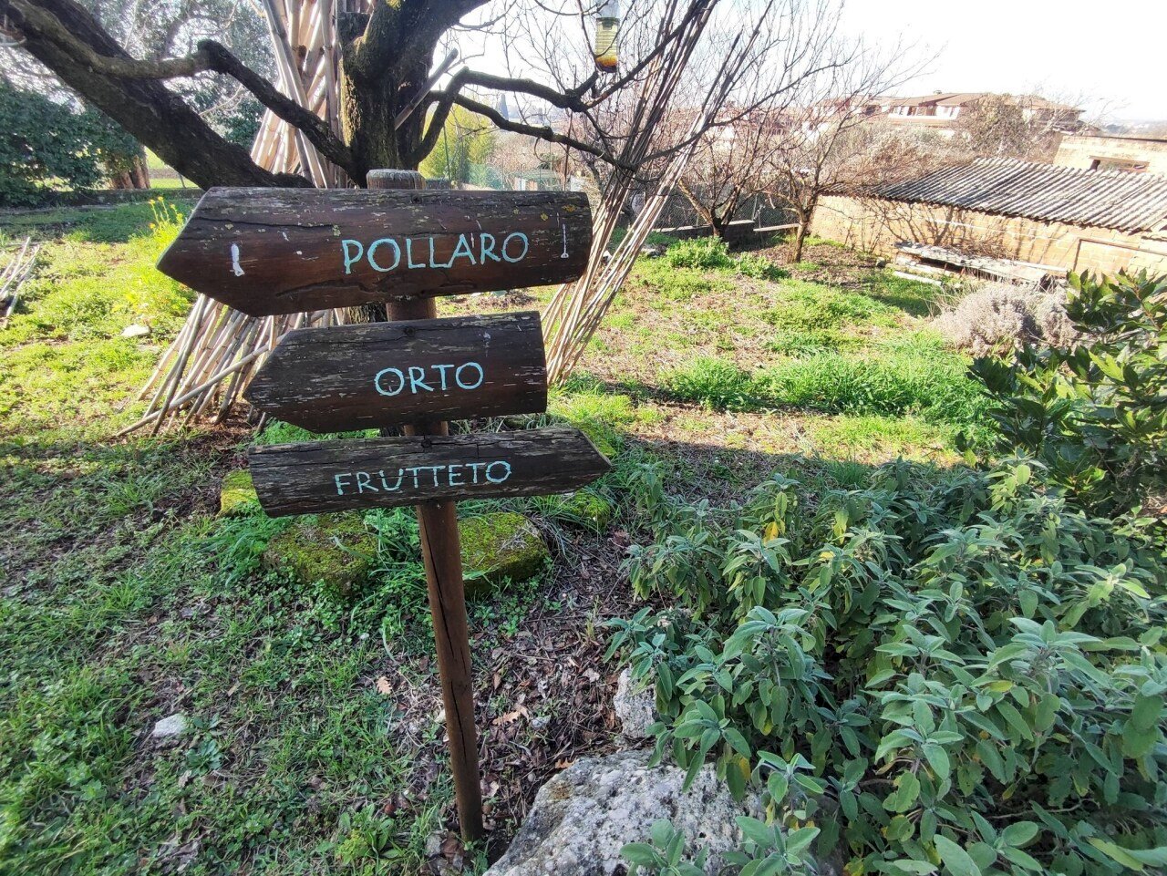 617619638_1451114233461842_3984875836114610513_n.j - Terreno agricolo Via Colle di Mitriano, Guidonia Montecelio - foto 1