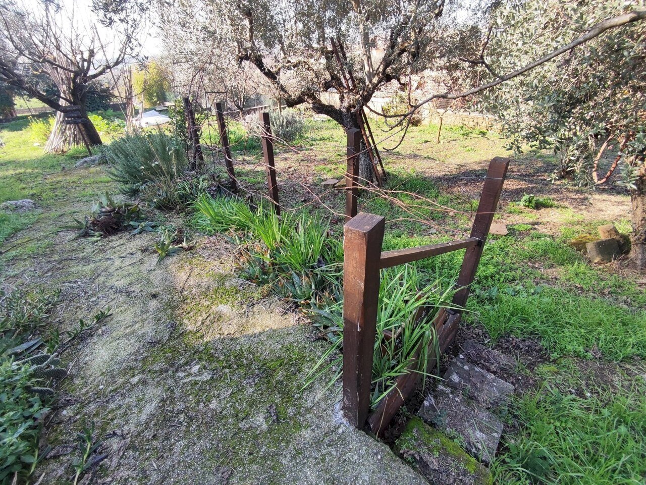 615394341_1451115660128366_6140889173065994584_n.j - Terreno agricolo Via Colle di Mitriano, Guidonia Montecelio - foto 3