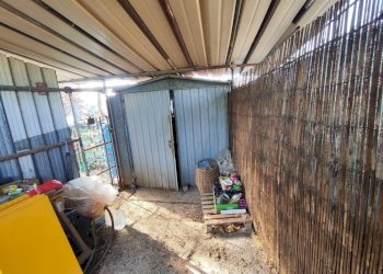 615331611_1451115976795001_5450454695225424193_n.j - Terreno agricolo Via Colle di Mitriano, Guidonia Montecelio - foto 2