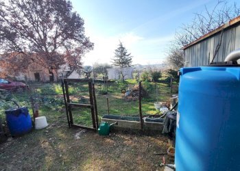 615823487_1451114176795181_5714428105656357617_n.j - Terreno agricolo Via Colle di Mitriano, Guidonia Montecelio - foto 4