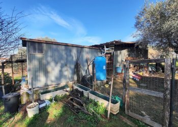 616254455_1451114713461794_1076088239438941327_n.j - Terreno agricolo Via Colle di Mitriano, Guidonia Montecelio - foto 7