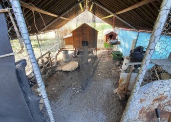 616367780_1451114350128497_7173315068452985725_n.j - Terreno agricolo Via Colle di Mitriano, Guidonia Montecelio - foto 8