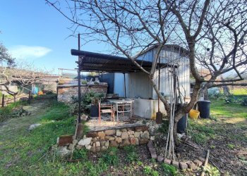 616562559_1451115230128409_5212458159803233926_n.j - Terreno agricolo Via Colle di Mitriano, Guidonia Montecelio - foto 11