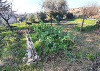 616612530_1451114880128444_7299842670702091845_n.j - Terreno agricolo Via Colle di Mitriano, Guidonia Montecelio - foto 12