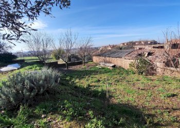 616812938_1451115440128388_118423652657200729_n.jp - Terreno agricolo Via Colle di Mitriano, Guidonia Montecelio - foto 15