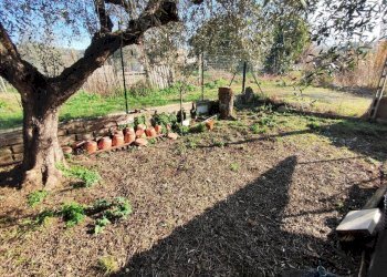 617156344_1451114396795159_7597931708627555207_n.j - Terreno agricolo Via Colle di Mitriano, Guidonia Montecelio - foto 20