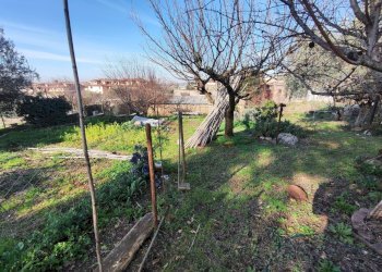 617571993_1451115003461765_7191177920298831563_n.j - Terreno agricolo Via Colle di Mitriano, Guidonia Montecelio - foto 23