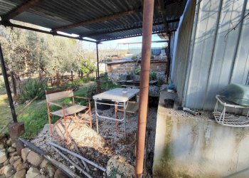 617659641_1451115616795037_6342781742351277748_n.j - Terreno agricolo Via Colle di Mitriano, Guidonia Montecelio - foto 24