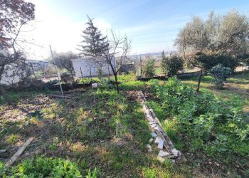 617842493_1451114510128481_8794111084844135447_n.j - Terreno agricolo Via Colle di Mitriano, Guidonia Montecelio - foto 25