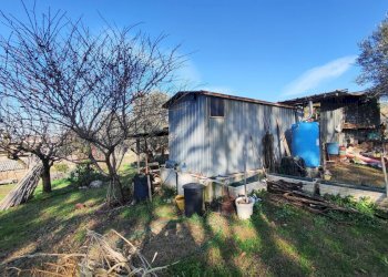 619262654_1451114633461802_7115559798619868645_n.j - Terreno agricolo Via Colle di Mitriano, Guidonia Montecelio - foto 28