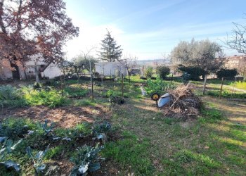 619545348_1451114463461819_1577175454099767357_n.j - Terreno agricolo Via Colle di Mitriano, Guidonia Montecelio - foto 29